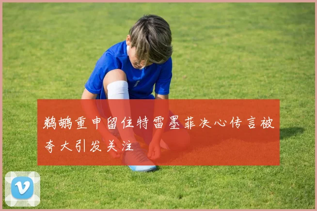 鹈鹕重申留住特雷墨菲决心传言被夸大引发关注